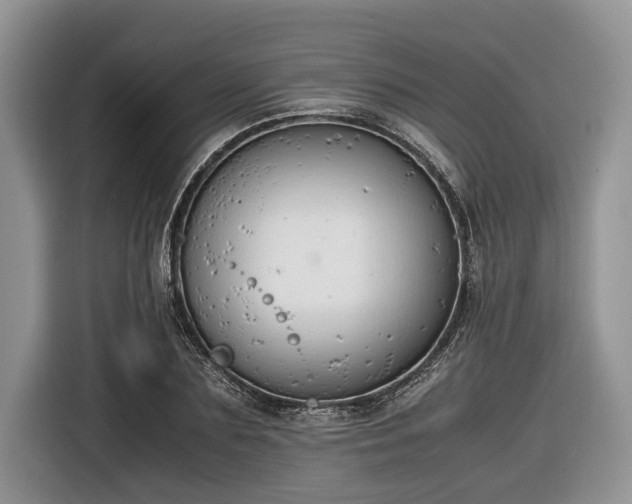 X0000116660883200912211505