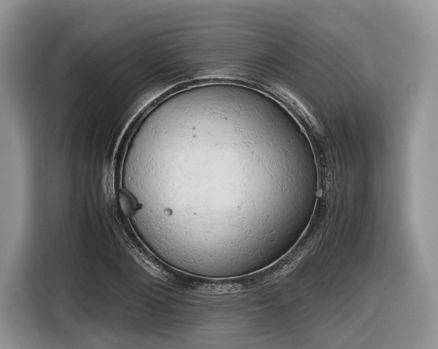 X0000116660884200912211505