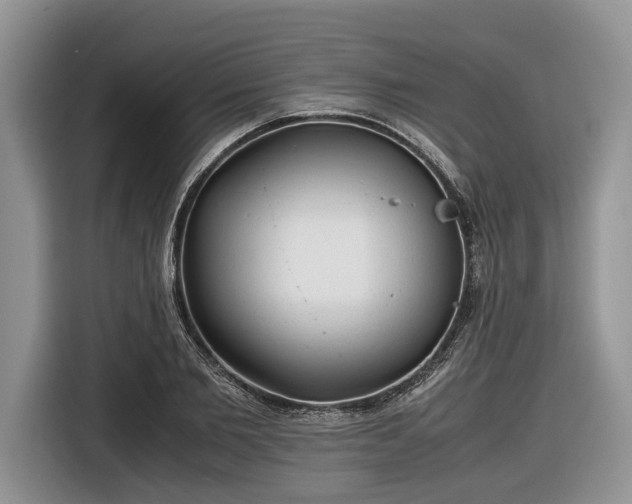 X0000116660885200912211505