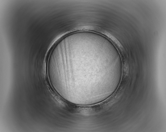 X0000116660886200912211505