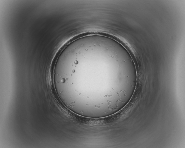 X0000116660887200912211505