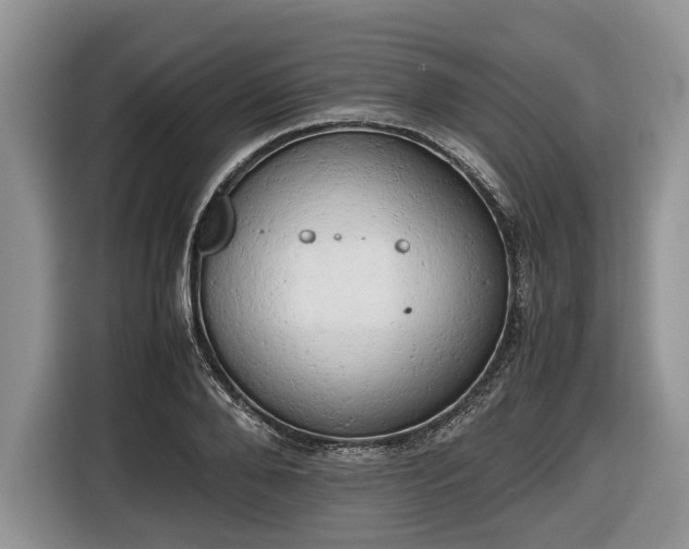 X0000116660888200912211505