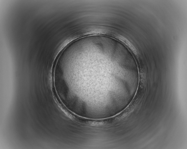 X0000116660890200912211505