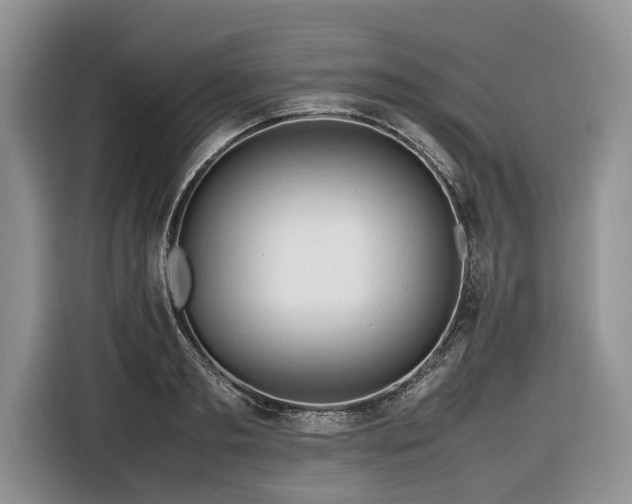 X0000116660893200912211505