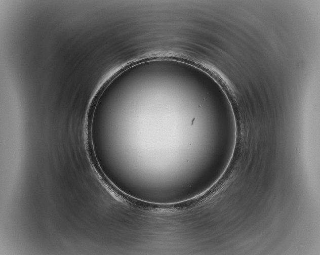 X0000116660894200912211505