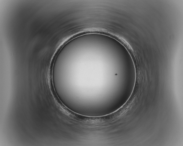 X0000116660895200912211505