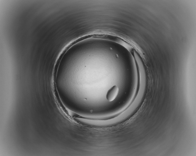 X0000116660896200912211505