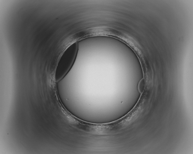 X0000116660897200912211505