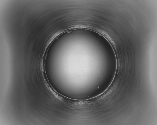 X0000116660898200912211505