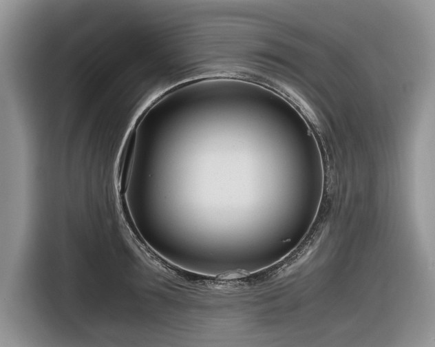 X0000116660899200912211505