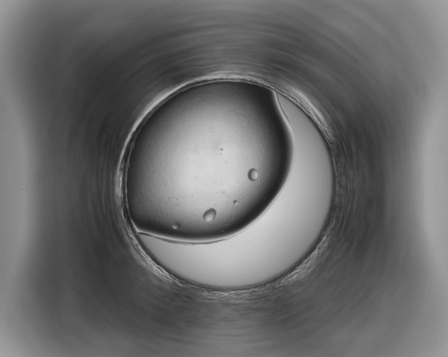 X0000116660900200912211505