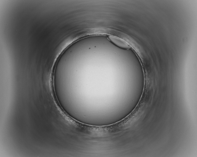 X0000116660901200912211505