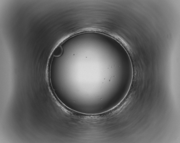 X0000116660902200912211505