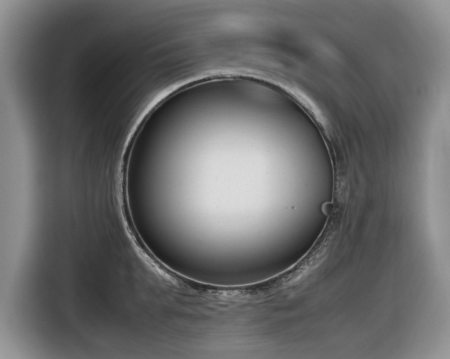 X0000116660903200912211505