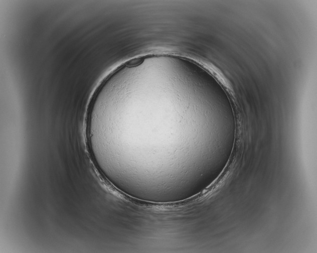 X0000116660904200912211505