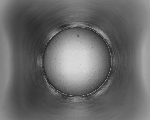 X0000116660905200912211505