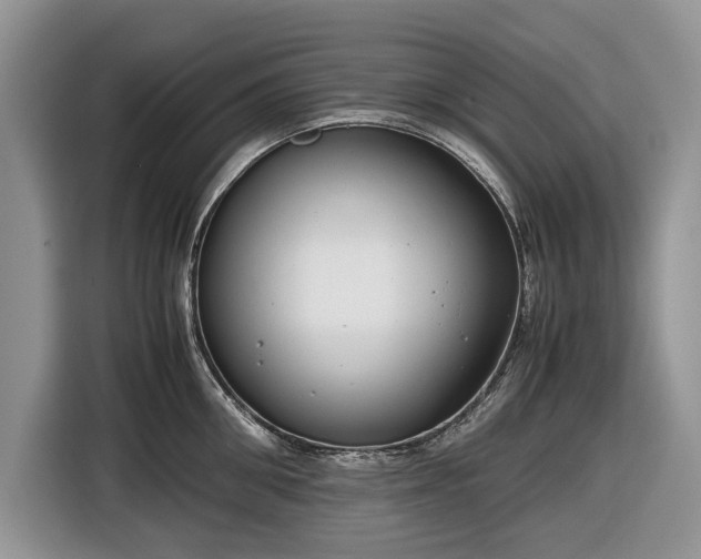 X0000116660906200912211505