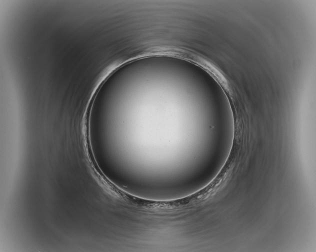 X0000116660907200912211505