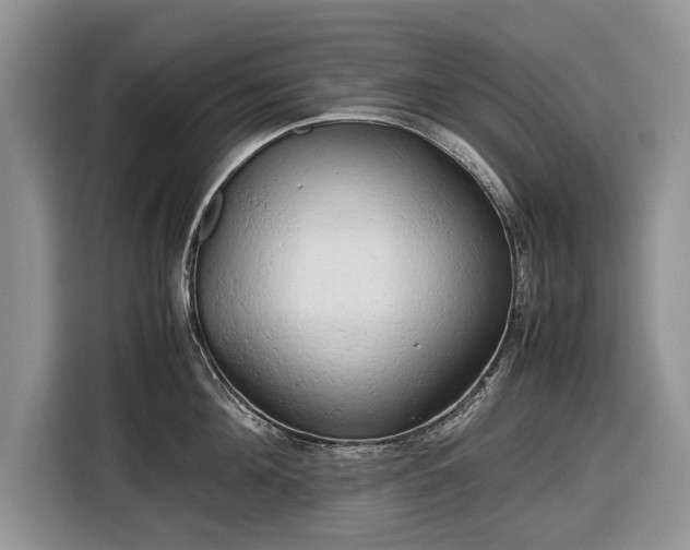 X0000116660908200912211505