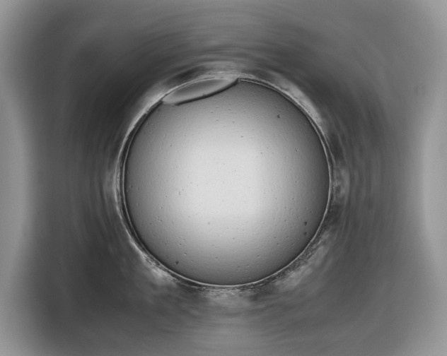 X0000116660909200912211505