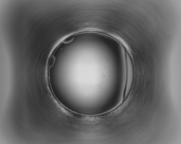 X0000116660910200912211505