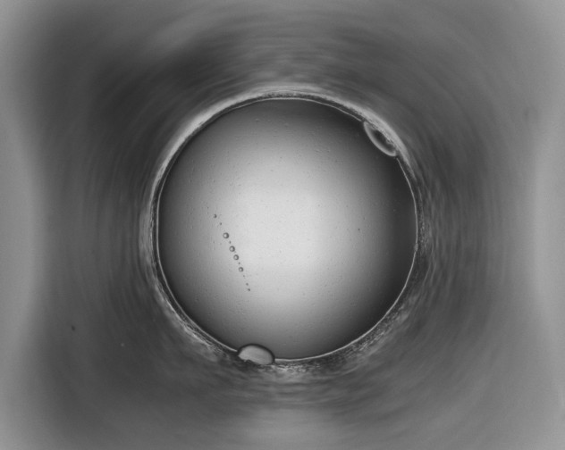 X0000116660911200912211505