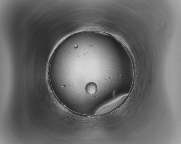 X0000116660912200912211505