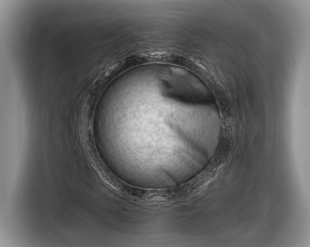 X0000116660913200912211504