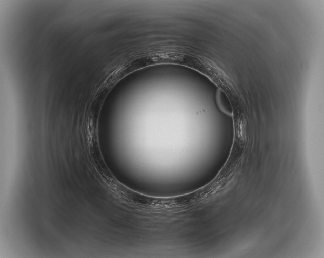 X0000116660915200912211504