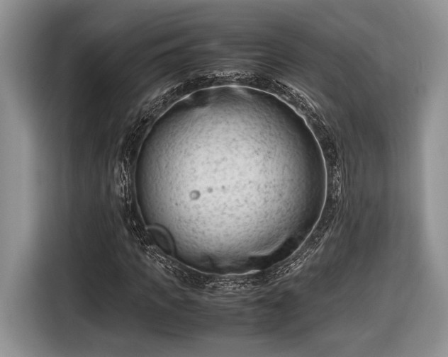 X0000116660917200912211504