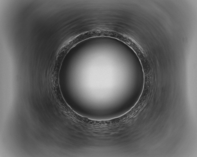 X0000116660919200912211504