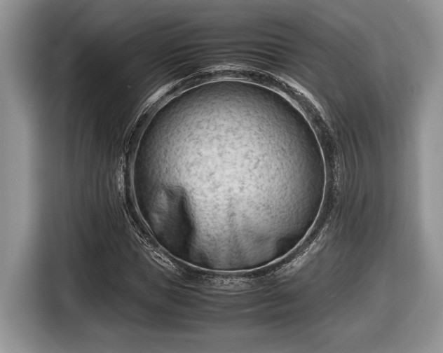 X0000116660921200912211504