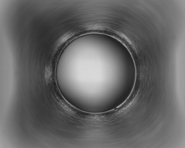 X0000116660922200912211504