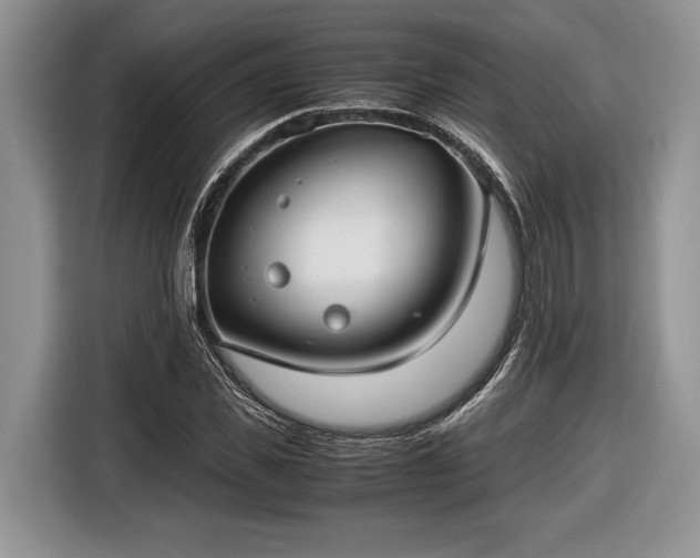 X0000116660925200912211504