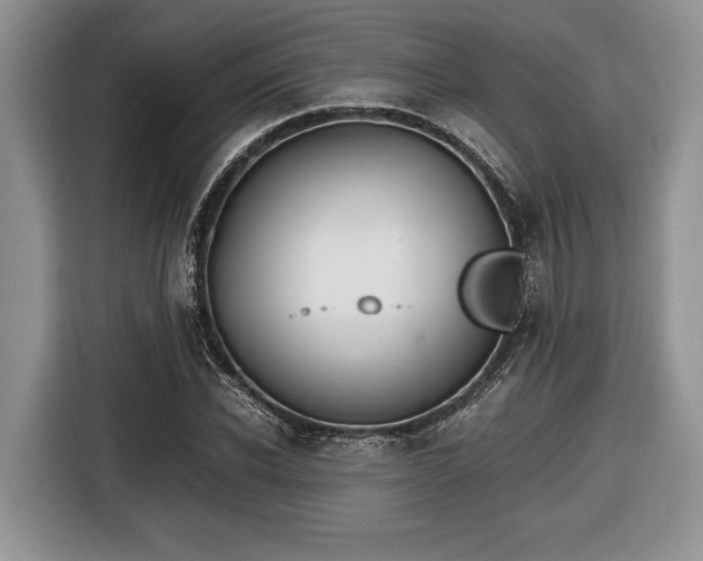 X0000116660926200912211504