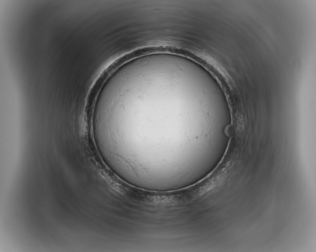 X0000116660927200912211504