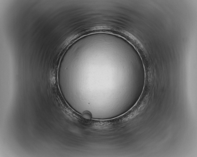 X0000116660929200912211504