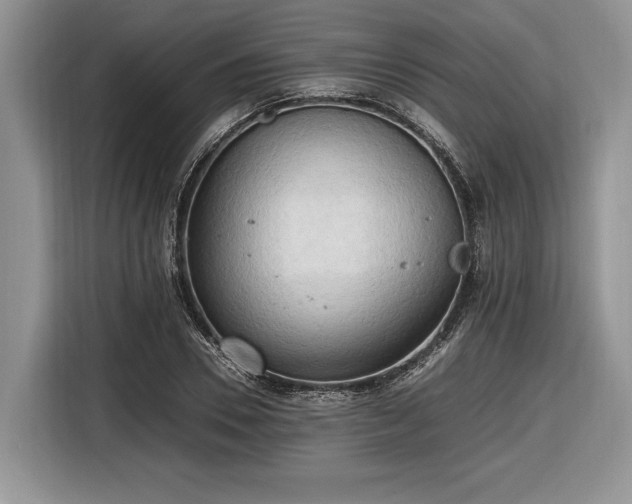 X0000116660930200912211504