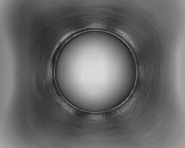 X0000116660931200912211504