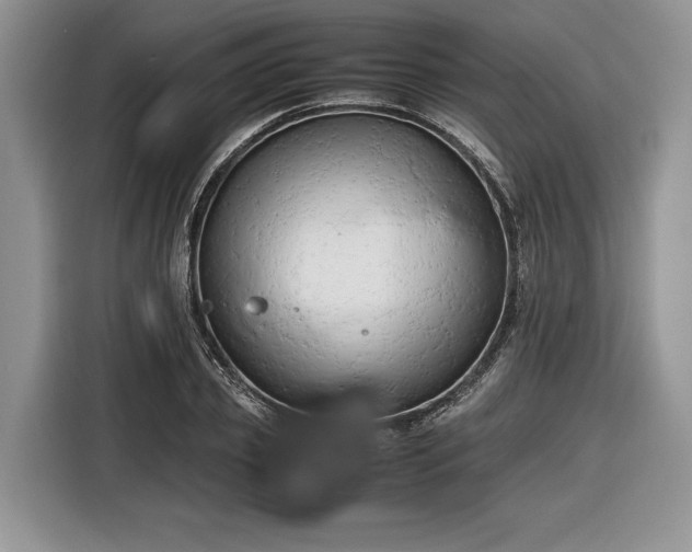 X0000116660933200912211504