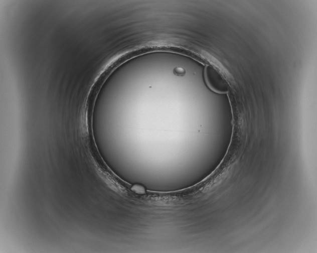 X0000116660934200912211504