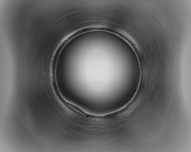 X0000116660935200912211504