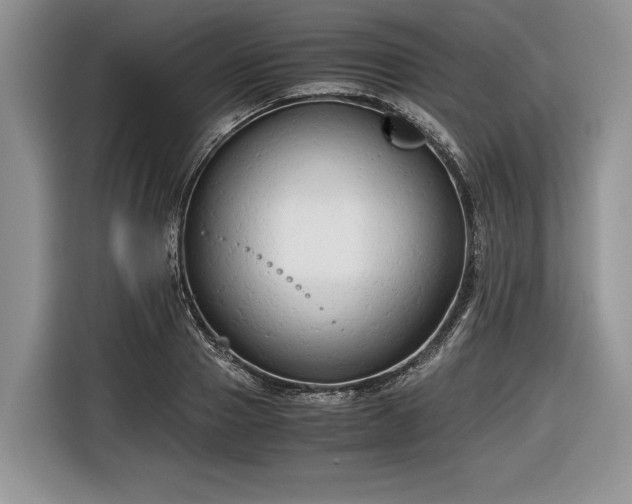 X0000116660937200912211504