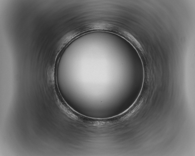 X0000116660938200912211504