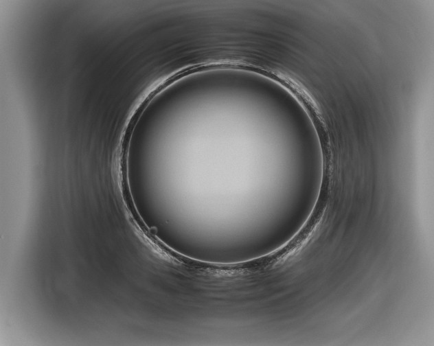 X0000116660941200912211504