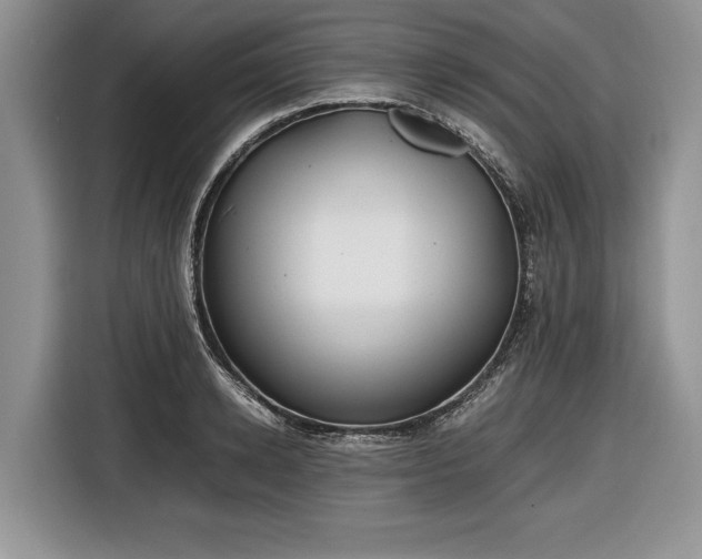 X0000116660942200912211504