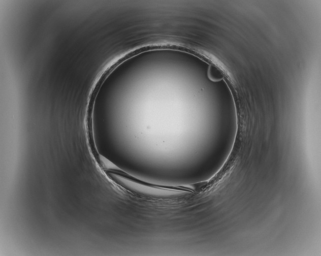 X0000116660943200912211504