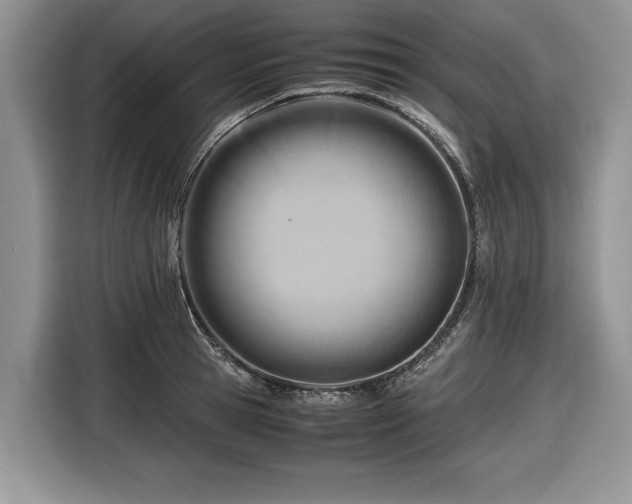 X0000116660945200912211504