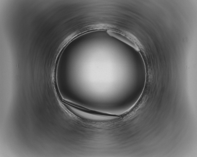 X0000116660946200912211504