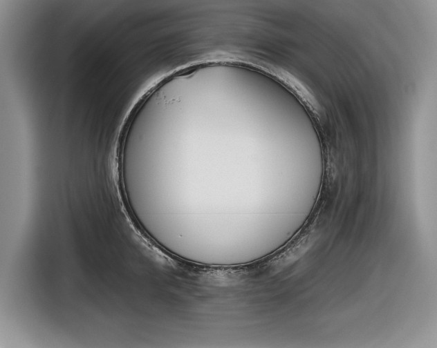 X0000116660950200912211504